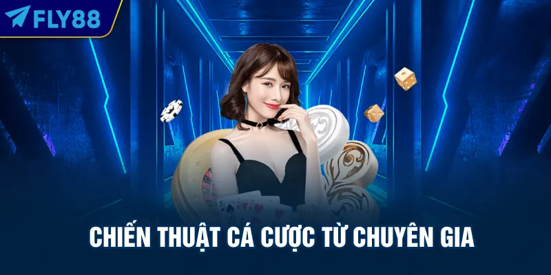 Chiến thuật cá cược từ chuyên gia