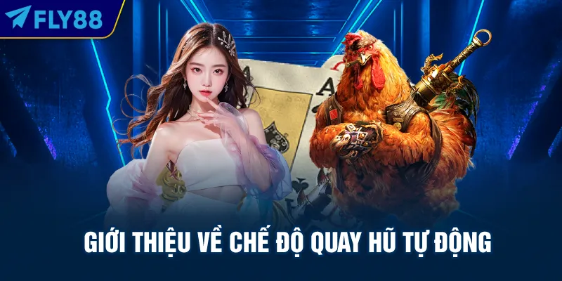 Giới thiệu về chế độ quay hũ tự động