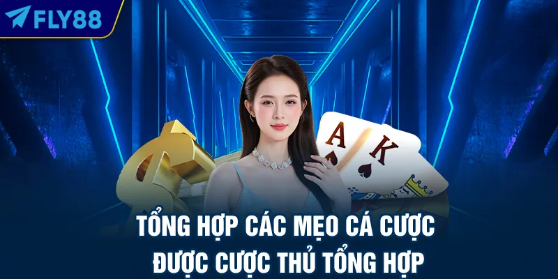 Tổng hợp các mẹo cá cược được cược thủ tổng hợp